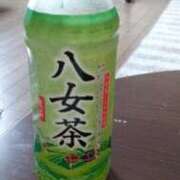 ヒメ日記 2026/04/12 07:35 投稿 なつこ 宮崎ちゃんこ都城店