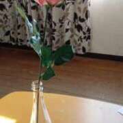 ヒメ日記 2026/04/13 20:15 投稿 なつこ 宮崎ちゃんこ都城店