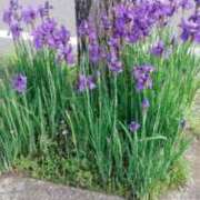 ヒメ日記 2026/04/18 09:45 投稿 なつこ 宮崎ちゃんこ都城店