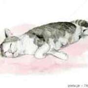 ヒメ日記 2025/01/10 17:32 投稿 内海 MadameRest(マダムレスト)