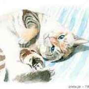 ヒメ日記 2025/01/17 13:49 投稿 内海 MadameRest(マダムレスト)