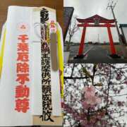 ヒメ日記 2025/03/12 19:05 投稿 内海 MadameRest(マダムレスト)