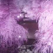 ヒメ日記 2025/03/24 01:39 投稿 内海 MadameRest(マダムレスト)