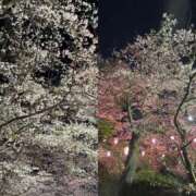 ヒメ日記 2025/04/07 00:31 投稿 内海 MadameRest(マダムレスト)