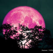 ヒメ日記 2025/04/11 13:39 投稿 内海 MadameRest(マダムレスト)