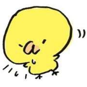 ヒメ日記 2025/04/28 13:10 投稿 内海 MadameRest(マダムレスト)