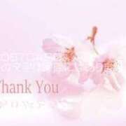 ヒメ日記 2025/06/09 02:22 投稿 内海 MadameRest(マダムレスト)