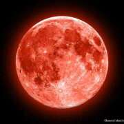 ヒメ日記 2025/06/17 21:51 投稿 内海 MadameRest(マダムレスト)