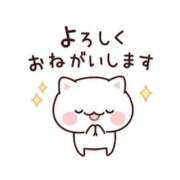 ヒメ日記 2025/06/18 10:47 投稿 内海 MadameRest(マダムレスト)