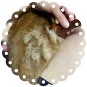 ヒメ日記 2025/06/29 23:26 投稿 内海 MadameRest(マダムレスト)