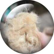 ヒメ日記 2025/07/01 01:30 投稿 内海 MadameRest(マダムレスト)