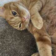 ヒメ日記 2025/07/07 21:27 投稿 内海 MadameRest(マダムレスト)