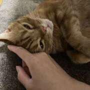 ヒメ日記 2025/07/08 23:30 投稿 内海 MadameRest(マダムレスト)