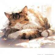 ヒメ日記 2025/07/16 08:47 投稿 内海 MadameRest(マダムレスト)