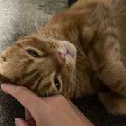 ヒメ日記 2025/08/12 00:28 投稿 内海 MadameRest(マダムレスト)