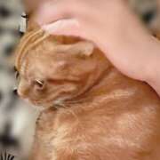 ヒメ日記 2025/08/17 03:36 投稿 内海 MadameRest(マダムレスト)