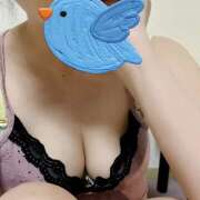 ヒメ日記 2025/08/21 14:49 投稿 内海 MadameRest(マダムレスト)