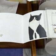 ヒメ日記 2025/09/21 19:17 投稿 内海 MadameRest(マダムレスト)