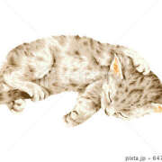 ヒメ日記 2025/10/09 15:31 投稿 内海 MadameRest(マダムレスト)