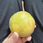 ヒメ日記 2025/11/17 22:09 投稿 内海 MadameRest(マダムレスト)