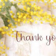 ヒメ日記 2025/11/20 00:19 投稿 内海 MadameRest(マダムレスト)