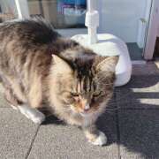 ヒメ日記 2025/11/21 12:02 投稿 内海 MadameRest(マダムレスト)