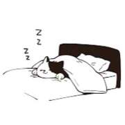 ヒメ日記 2025/12/06 05:36 投稿 内海 MadameRest(マダムレスト)