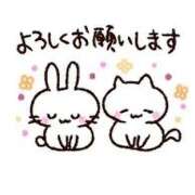 ヒメ日記 2025/12/06 17:20 投稿 内海 MadameRest(マダムレスト)