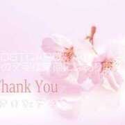 ヒメ日記 2025/12/11 10:50 投稿 内海 MadameRest(マダムレスト)