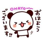 ヒメ日記 2025/12/17 07:09 投稿 内海 MadameRest(マダムレスト)