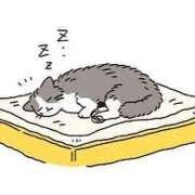 ヒメ日記 2026/02/06 00:07 投稿 内海 MadameRest(マダムレスト)