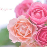 ヒメ日記 2026/04/04 04:27 投稿 内海 MadameRest(マダムレスト)