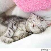 ヒメ日記 2026/04/04 12:18 投稿 内海 MadameRest(マダムレスト)