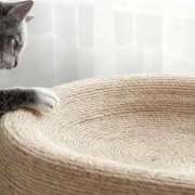 ヒメ日記 2026/04/10 15:06 投稿 内海 MadameRest(マダムレスト)