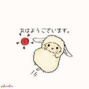 ヒメ日記 2026/04/11 13:20 投稿 内海 MadameRest(マダムレスト)