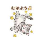 ヒメ日記 2026/07/29 09:20 投稿 内海 MadameRest(マダムレスト)