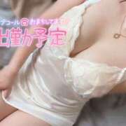 ヒメ日記 2024/12/15 17:42 投稿 つぼみ モアグループ大宮人妻花壇