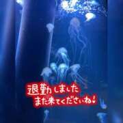 ヒメ日記 2024/05/29 00:19 投稿 めい ぽっちゃり巨乳素人専門　西船橋ちゃんこ