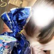 ヒメ日記 2025/03/11 23:35 投稿 しほ ファッションヘルス カリスマ