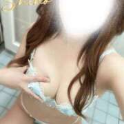 ヒメ日記 2025/03/23 09:15 投稿 しほ ファッションヘルス カリスマ