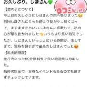 ヒメ日記 2026/03/18 20:05 投稿 しほ ファッションヘルス カリスマ