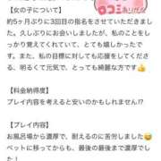 ヒメ日記 2026/06/22 00:05 投稿 しほ ファッションヘルス カリスマ