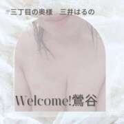 ヒメ日記 2025/02/10 16:15 投稿 三井　はるの 三丁目の奥様（東京ハレ系）