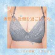 ヒメ日記 2025/02/24 16:16 投稿 三井　はるの 三丁目の奥様（東京ハレ系）