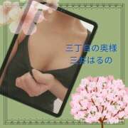 ヒメ日記 2025/03/31 16:16 投稿 三井　はるの 三丁目の奥様（東京ハレ系）