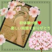 ヒメ日記 2025/04/01 00:02 投稿 三井　はるの 三丁目の奥様（東京ハレ系）