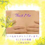 ヒメ日記 2025/04/14 16:16 投稿 三井　はるの 三丁目の奥様（東京ハレ系）