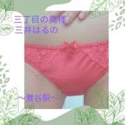 ヒメ日記 2025/05/16 16:02 投稿 三井　はるの 三丁目の奥様（東京ハレ系）