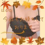 ヒメ日記 2025/09/15 16:15 投稿 三井　はるの 三丁目の奥様（東京ハレ系）