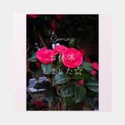 ヒメ日記 2026/03/20 19:28 投稿 三井　はるの 三丁目の奥様（東京ハレ系）